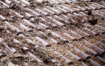 Maghera roof cleaning companies