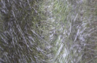 Maghera fibreglass roof work